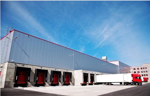 成都至揭陽貨運時效解析與行業動態